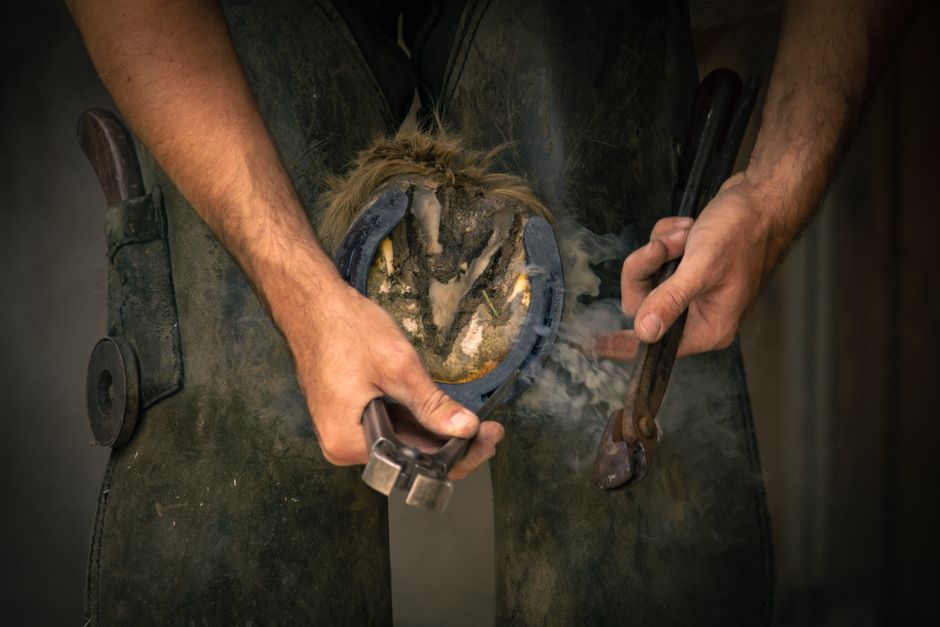 Common Myths About Trimming, Pulling Handles & Carving I Stopped Believing